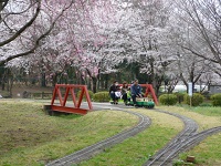 さくら鉄道